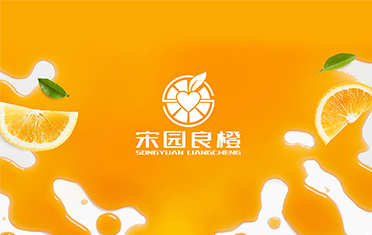某良橙——长沙LOGO设计